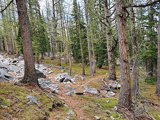 A bit of trail heading to Oval Basin