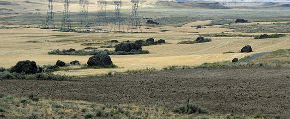 Haystack fence in Boulder Park