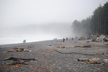 Rialto beach near TH