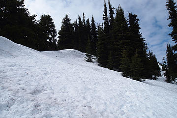 Baldy Grey Wolf via Maynard Burn: Plenty of snow at 5400 feet N and NE aspect of ridge. Summer trail may go to right of screen. I  stayed on the spine (center)
