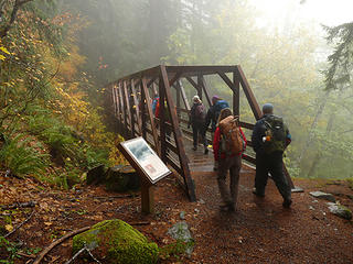 Damp November Hike On Iron Goat Trail