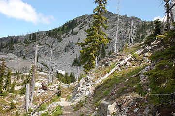 Alpine Terrain