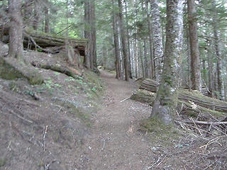 Early Shriners peak trail.
