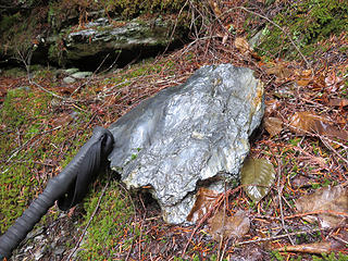 More phyllite. It resembles slate but due to more intense metamorphism, it is shiny due to larger (but still microscopic) mineral grains, foliated due to directed (unbalanced) pressure. Foliation is the planar structure and is not the same as stratification, which is a sedimentary structure due to layering. I took this pretty piece home, although I'm not a rockhound ( my wife questions that :) ).