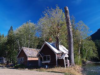 Old cabins and trimmed tree.