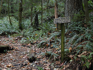 Talus trail junction from Nook Trail.