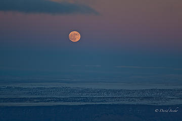 Moon bubble over desert