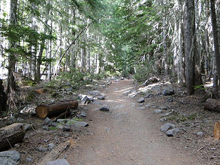 Going up the new freeway trail to Glacier Basin.