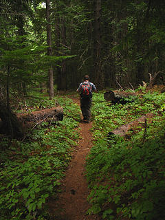 Connor on the trail to Lakeview Mountain, Priest Lake, Idaho.