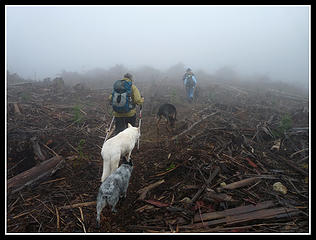 On The "New Trail"