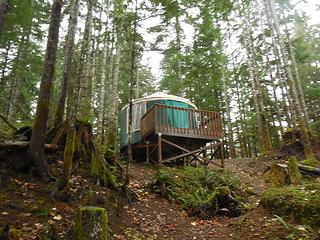 Yurts to rent in the Coho CG