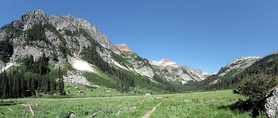 Spider Meadow