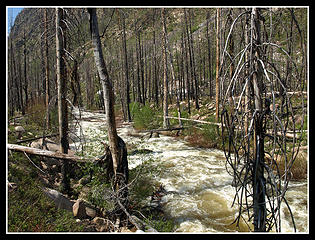 Many Color River