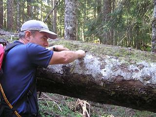 Preparing to remove the obstacle