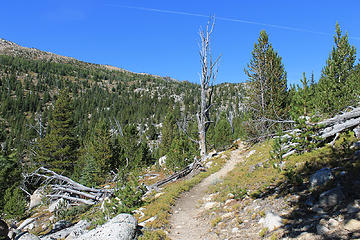 Pasayten Wilderness 158