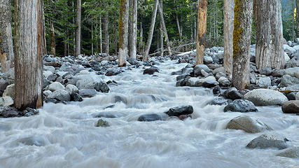 Carbon River going where it wants to go. Mt Rainier National Park, WA