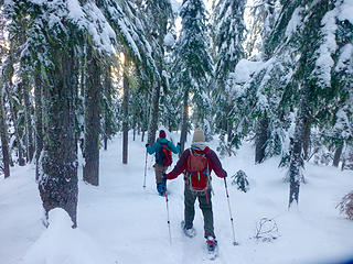 Back down into the forest