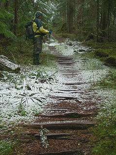 A hiker on old puncheon road