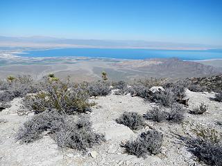 Salton Sea again