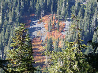 Fall color on the slopes across the way