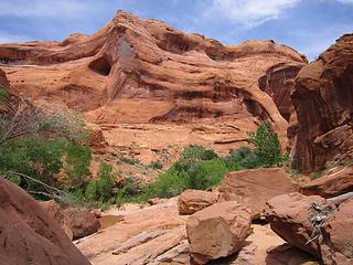 Cliff Arch behind Lori