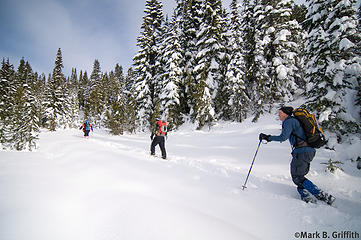 Upper Meadows