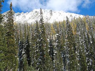 Layers of trees stretching up toward Maude