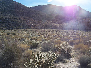 Afternoon sun on the valley