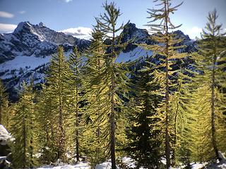 Cutthroat Pass Trail 10/1/19