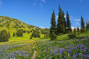 On the Pacific Crest Trail, part of the Pacific Northwest Trail, Pasayten Wilderness, WA