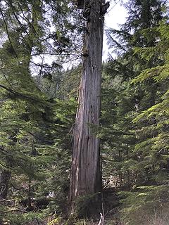 Lake Isabel Trail 4/25/19