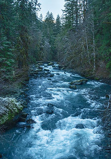 Dosewallips from bridge