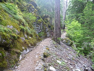 Ross Dam Trail