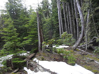 reached the ridge line at the transitions between two different clearcuts