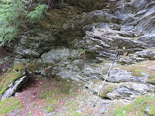 Bedrock on Anderson is Darrington phyllite (as on Lyman Hill summit. Pronounced 'fill-light':), also with another metamorphic rock (Shuksan greenschist) at the large quarry on the approach road (not shown). This outcrop is on the road at about 2800'. Phyllite is notoriously bad climbing rock. Many years ago Rowland T. and young field assistant Brushbuffalo had at least one pretty scary time on it ...scary at least for me!....on the ridge between Winchester Mountain and Gold Run Pass.  :eek: