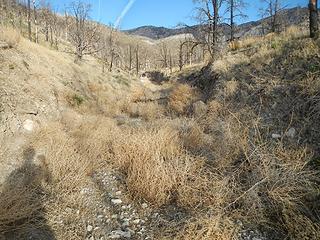 tumbleweed drifts