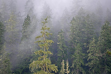 Fog across the river