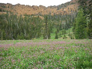 "Shooting stars" "hiking in Washington" Washington"