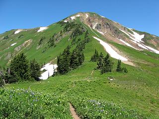 White Mtn from the PCT