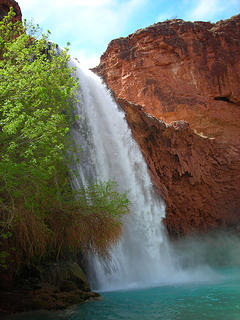 Havasu Falls