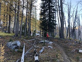 Heading up to Baldy saddle