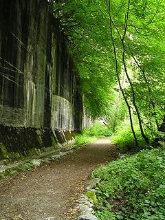 Snow Shed wall