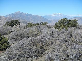 Toro, San Jacinto, San Gorgonio