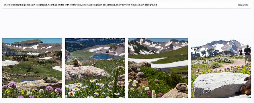 marmot sunbathing on rock in foreground, near basin filled with wildflowers, hikers walking by in background, snow covered mountains in background