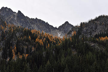 Larches color the hillside above Eightmile Lake