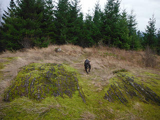 Baldy Hill Summit with Lava rock?