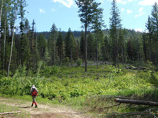 Hoodoo, In The Distance