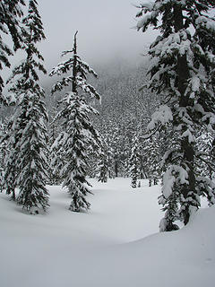 Entering the meadow below (East) of Union Gap