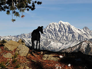 Rowena silhouetted in front of Stuart