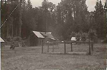 Smith Place - Queets Valley - 1930s - View southeast showing Smith additions on Shaube homestead cabin and outbuilding in background. Note fenced garden area in foreground and fruit trees on right. photo courtesy S. Martinson